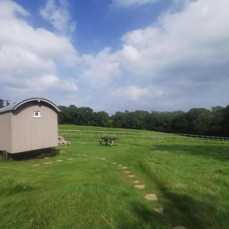 Molly Dishwasher Shepherds Hut Frant Exteriör bild