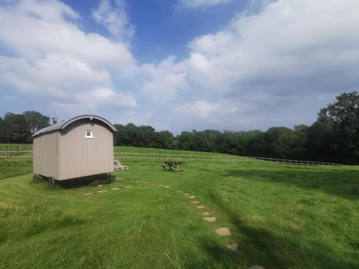 Molly Dishwasher Shepherds Hut Frant Exteriör bild